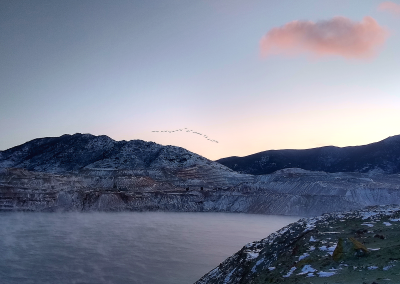 A flock of snow geese successfully hazed off of the Berkeley Pit flies away on a late fall day.